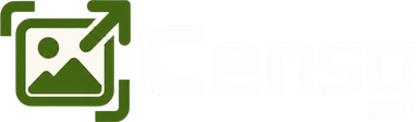 Censg